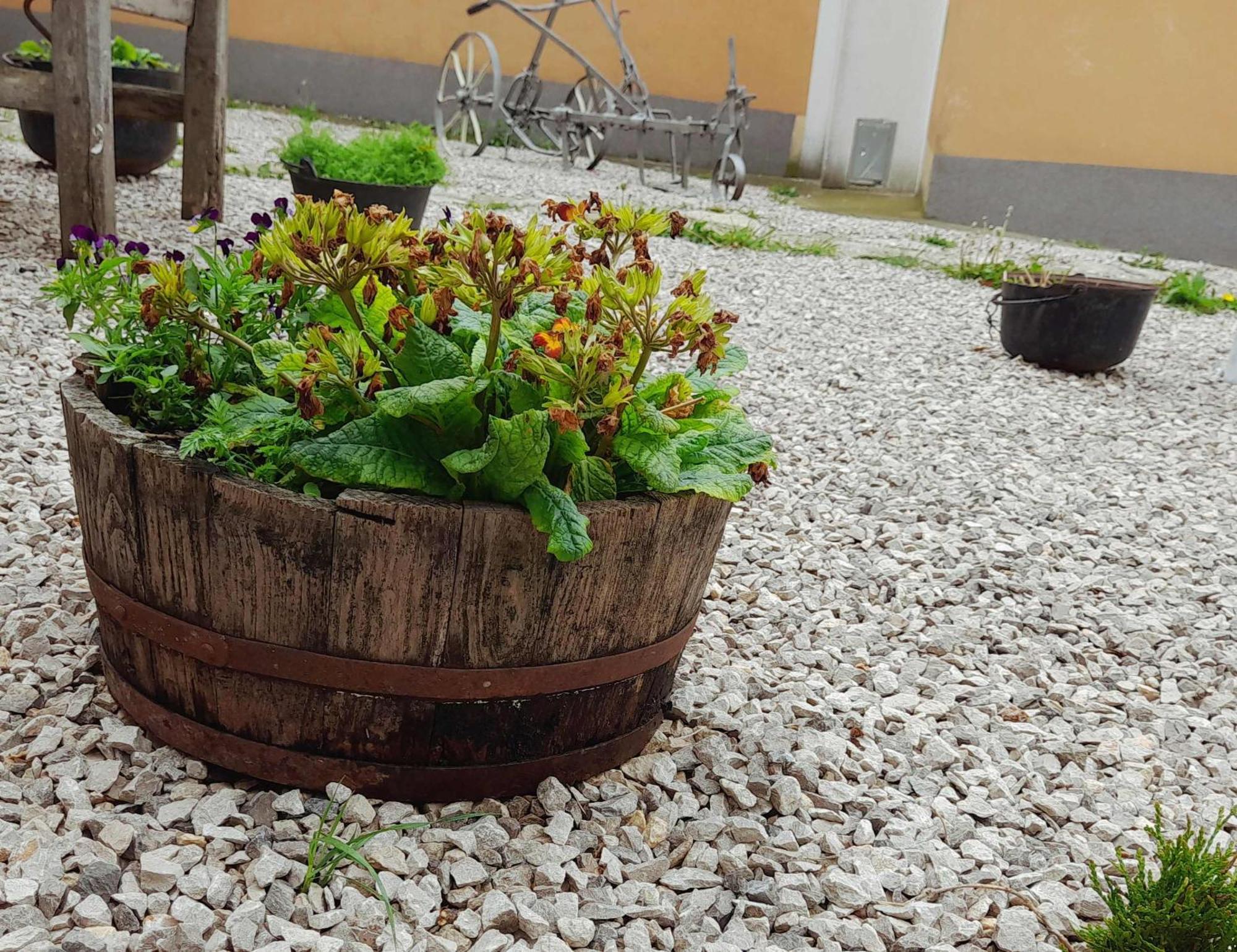 Apartmán House Lana Kršan Exteriér fotografie